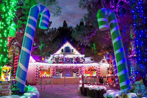 Don't Miss the Festive Fun – Use a Discount Code for the Magical Forest at Opportunity Village